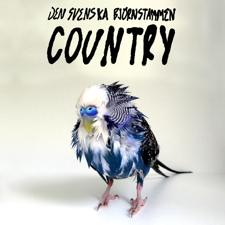 Country - Den Svenska Björnstammen
