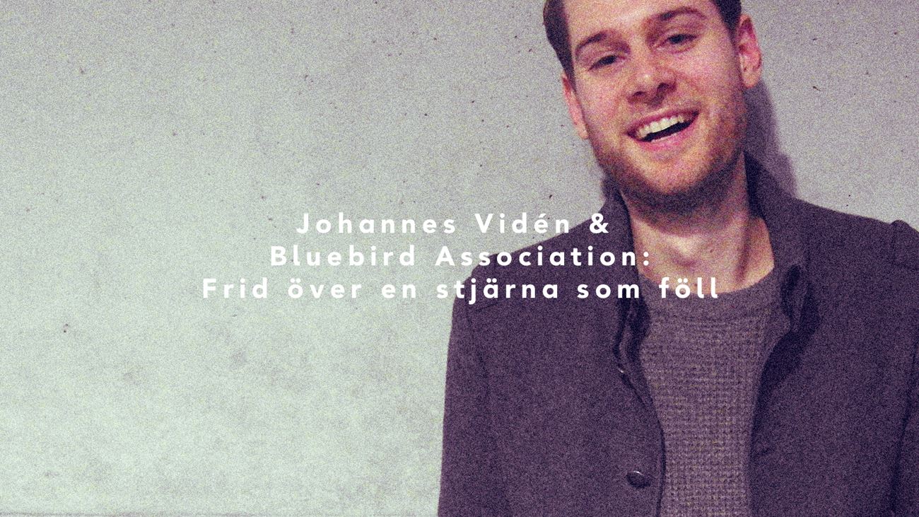 Frid över en stjärna som föll - Johannes Vidén & Bluebird Association