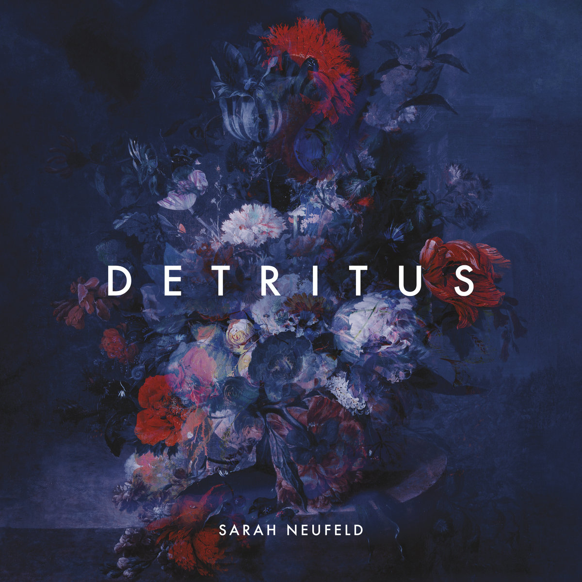 Detritus - Sarah Neufeld