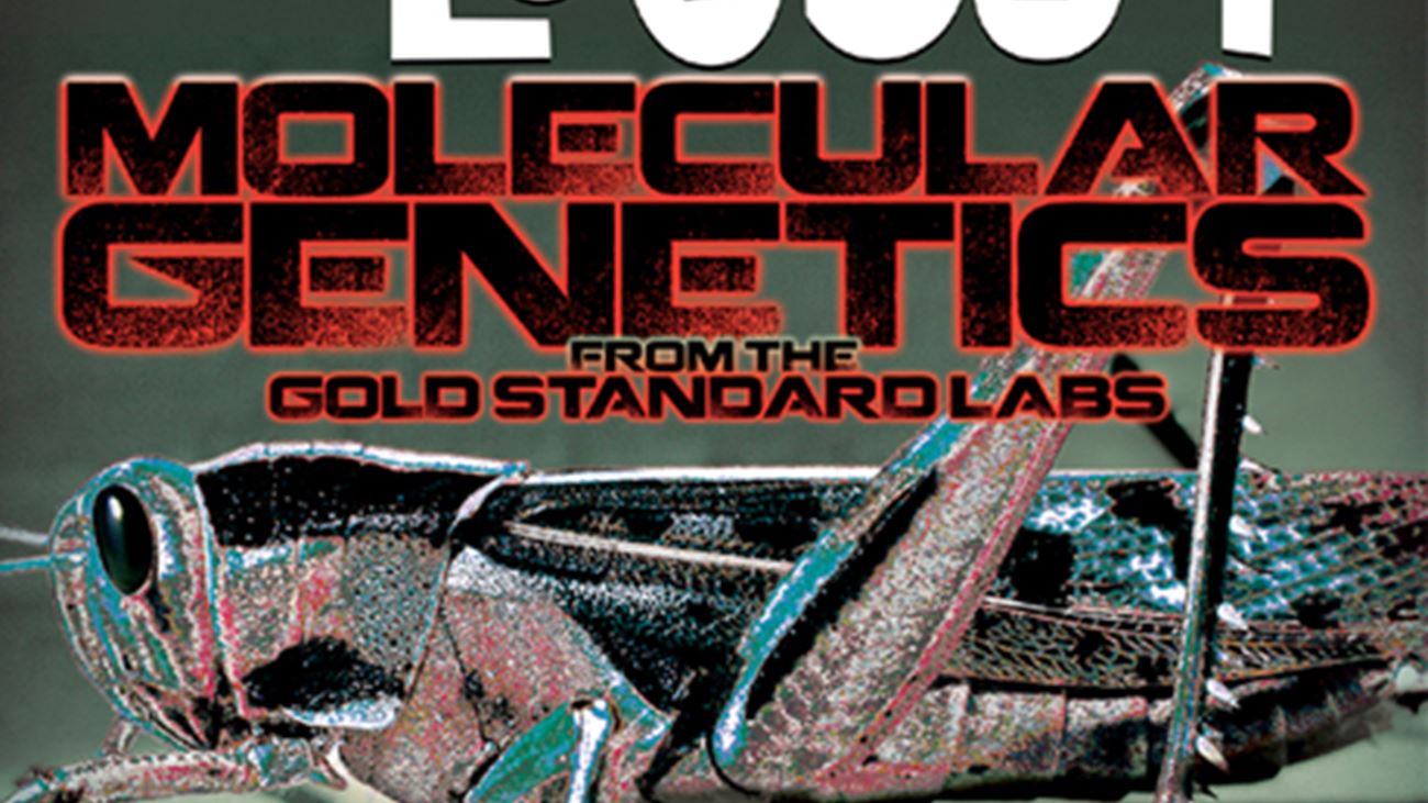 Molecular Genetics From The Gold Standard Labs - The Locust